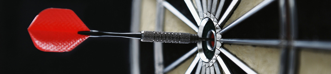 Bottom dart picture